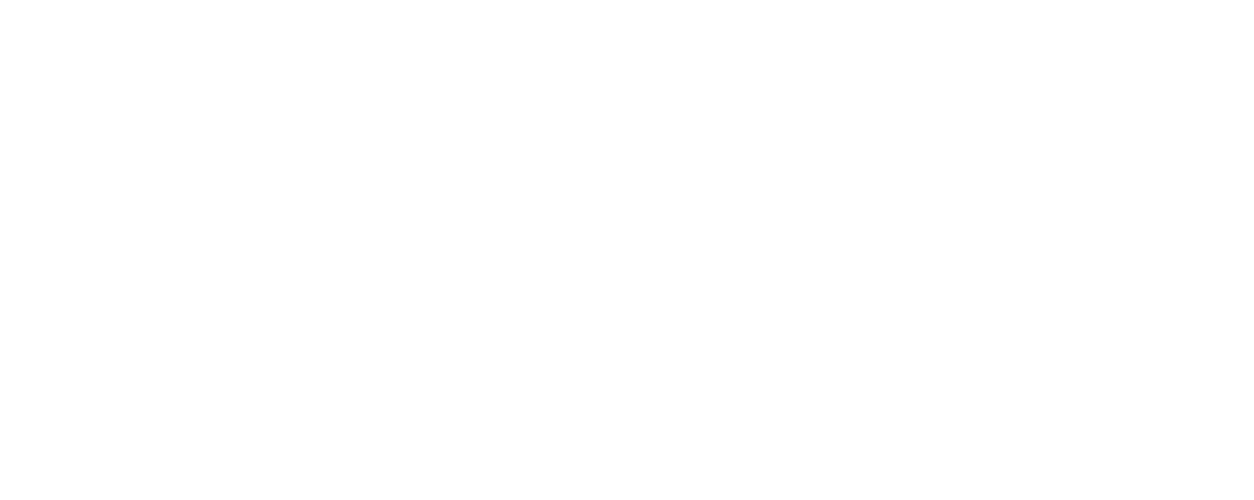 PT. Mills & Mines International